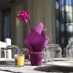 מלון Sanremo Restorant 3*