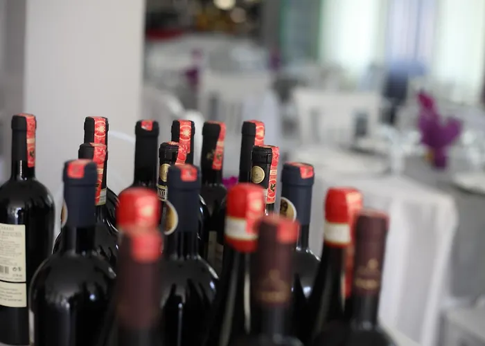 Hotel Sanremo Restorant 3*